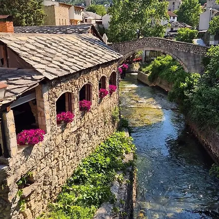 House Maya